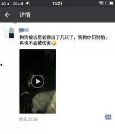 徐州直播爆料事件视频最新,真相与争议再掀波澜